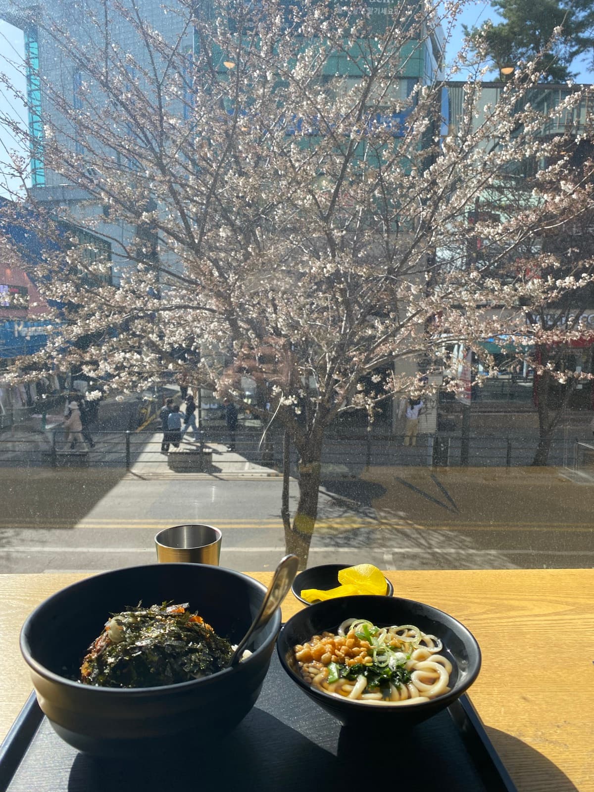 Repas coréen avec vue sur un cerisier en fleurs